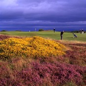 golfing in dumfries and galloway